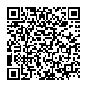 达官显贵们对这些无关紧要又不是自己门下走狗的官员根本不在意二维码生成