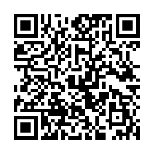 迅猛无比的向着秦方这边袭杀而来了……虽然只是藤蔓二维码生成