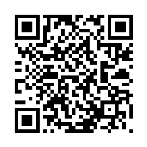 迅速在狂风中形成了两条长达数百丈的玉龙二维码生成