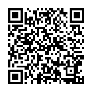 迅速在这一片区域内卷起了一个小型龙卷风了……可见这二维码生成