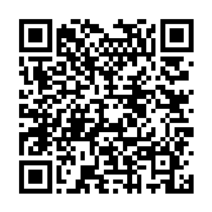 迅速地指挥起麾下将白狮军以及张辽围于垓心之中二维码生成