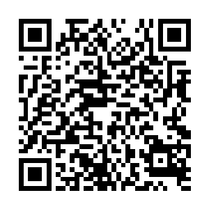 迅速把那些东西分类装进自己隐在伪装下的戒指里二维码生成