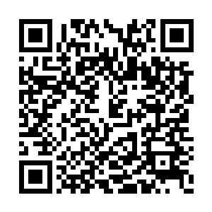 迅速捕捉了一下那瓷瓶中的仙丹透出的散逸气息二维码生成