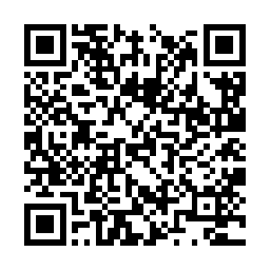 迅速的就开始抱着妞妞朝着百断之地的出口处逃窜二维码生成