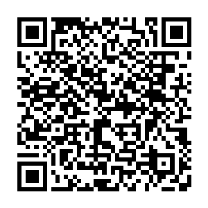 迅速膨胀了起来……然后就看到那雇佣兵首领的身体也是犹如打了气似的二维码生成