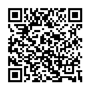 迅雷不及掩耳之势拿出一具金丝楠木的蛇头拐杖二维码生成