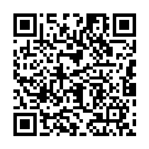 过了一会吞服下龙之泪的两条金枪鱼渐渐开始发生了变化二维码生成