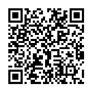 过了一会戴恩恩双手拿着不知道是什么的小吃跑了回来二维码生成