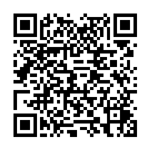 过了三个小时候后杨晨才基本将那丝魂力炼化吸纳二维码生成