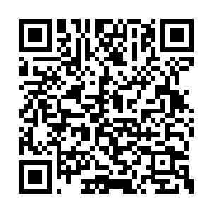 过几天再来……你们收到的东西可以先囤积起来二维码生成