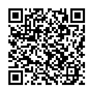 过去一分钟内总计有一百六十六辆车陆续上了砸到二维码生成