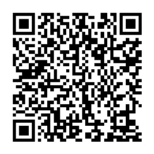 过去千百亿年间生存在这片星海中所有智慧生命共同凝聚出来的文明二维码生成