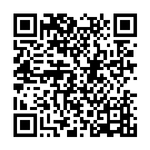 过去四个月以来的汗水和泪水在此刻都得到了回报二维码生成