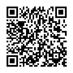 过去打招呼的巴克明显感觉方灵颖比以前沉默不少二维码生成