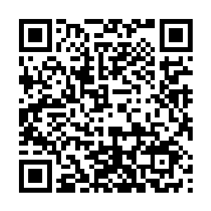 过去的几个炎角人就拖着一只已经没了气息的凶兽过来二维码生成