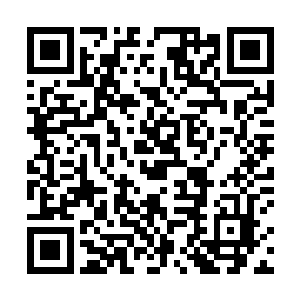 过去的大半年时间雨果都完完全全得和演技隔离了开来二维码生成