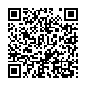 过去那个哈里和多萝西娅的名字他们将完全的忘记二维码生成