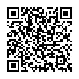 过去青帝世界对纺锤星体的吸收拉平了体量差距二维码生成