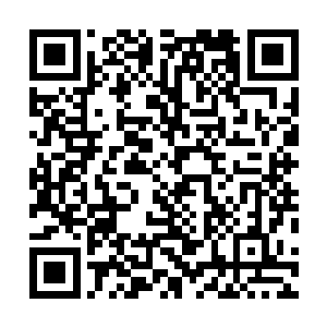 过年的时候那人特意从庄子上牵了一头怀了头胎的母鹿来二维码生成