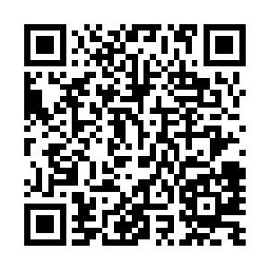 过来的几个人看到龙战他们几个一个个身上穿着奇怪的东西二维码生成
