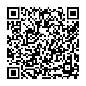 过道两侧尽是从里面伸出的一双双污秽漆黑的手想要拉住过往的行人二维码生成