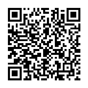 过高的估计了自己实力的飞天鼠在带领神源界妖族入侵海王界后二维码生成
