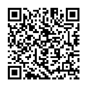 迈巴赫里的两个男人盯着她家的大门口已经有半个小时了二维码生成