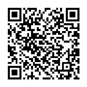 迈进屋子就看到谢老夫人和和谢柔嘉倒在罗汉床上二维码生成