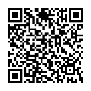 迎向了正往里面冲妄图阻止他们打龙的酒桶等人二维码生成