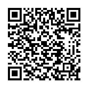 迎接市局局长的事情都是白山分局的政委张罗的二维码生成