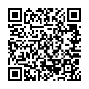 迎风不时送来空气中弥漫着血液甚至尿表的恶臭二维码生成