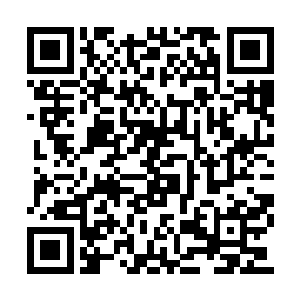 运动员……雷欢喜身上还有多少让人惊叹的地方二维码生成