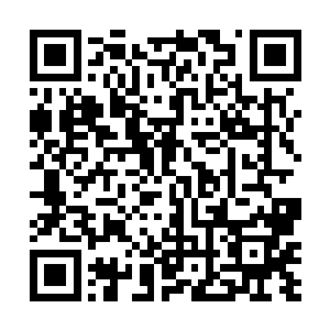 运气不好的话……一连十天半个月找不到也是很正常的二维码生成