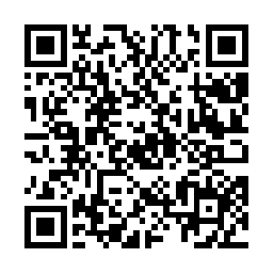 运用太虚剑施展一剑破万法已经能够给对方造成伤害了二维码生成