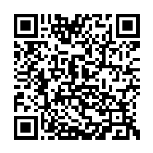 近一面墙的书籍也用了将近一刻钟的时间才搬完二维码生成