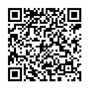 近两百来人在青面獠牙兽群突然爆发的袭击中丧生二维码生成