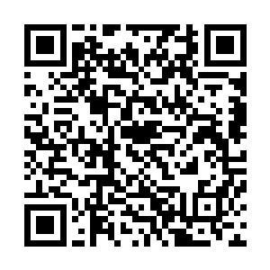 近乎施舍般的话能让一个能调动军队过来的年轻人这般激动二维码生成