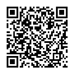 近乎是以一种流氓的方式在对杨开进行着惨无人道的群殴二维码生成