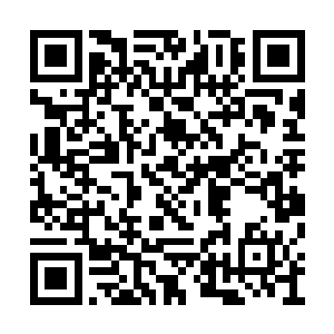 近乎透明的海幽灵开始从附近的海域中浮现出来二维码生成