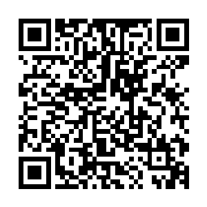 近了……近了……昆仑山……那是昆仑山……风清扬内心狂喜二维码生成