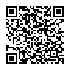 近几年始终很红的小天后李心茹被爆出与某富家公子把臂同游二维码生成