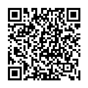近得许紫烟只要一扬手中的五色剑就能够将南雄劈下擂台二维码生成