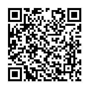 近日接连的噩耗让他本就沧桑的面容变得更加苍老二维码生成