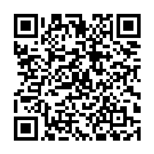 近水楼台中怎么可能没有墨瑶仙子留下的红枣仙元呢二维码生成