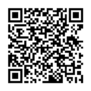 近距离的时候穆根只看到了雕像被摸的光秃秃的脚趾头二维码生成