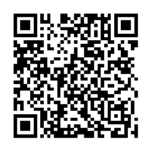 还一定会明里暗里与吞党针锋相对的给你诸多的维护帮助二维码生成