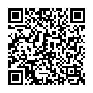 还一边往闻人牧月和秦洛的碟子里面各夹了一个二维码生成