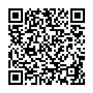 还不到一年时间竟然就是这里的名心理咨询师了二维码生成