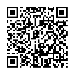 还不如直接给老子丢在沙漠里面再走四五个小时呢二维码生成