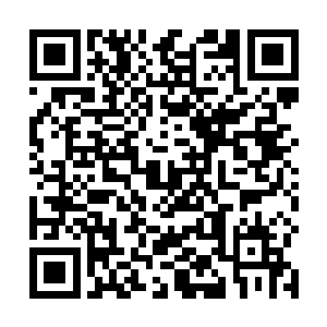 还不如第二层之中轻易就能够找到的一株青铜根的价值二维码生成